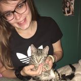 Pet Sitting Offered in Canandaigua