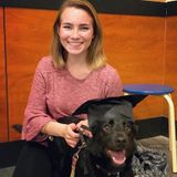 Skilled Dog Care Available