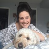 Your Pet Sitters