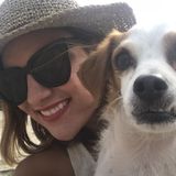 Honest Petsitter Available Immediately