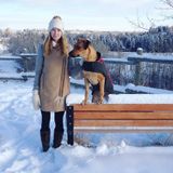 Experienced dog caregiver - grad student, dog owner