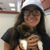 Wonderful House and Petsitter in Manhattan