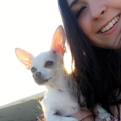 Pet Care Provider Amelia S's Profile Picture