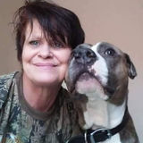I have veterinary training and Im a dog sitter pet walking and pet grooming in Winter Haven Fl