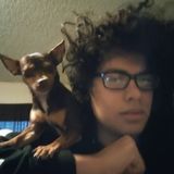 Dog walker and Dog sitter here, in Chino CA