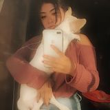 Los Angeles Pet Service Provider Interested In Job Opportunities