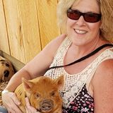 Pet Care Extraordinaire
