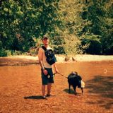 Interested In Ozark Pet Sitter Jobs