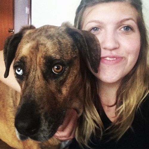 House Sitter Provider Carissa Yablonski's Profile Picture