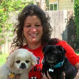 Experienced Pet Sitter & Dog Walker in The Woodlands