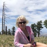 Surprise, Arizona Caretaker
