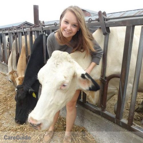 Pet Care Provider Charlene A's Profile Picture