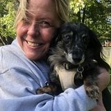 Skillful Pet Sitting Available Now!