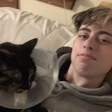 Honest Dog and cat sitter in New Paltz