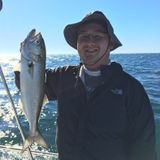 Experienced chef with open schedule