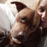 Pet Sitting Offered in Salisbury
