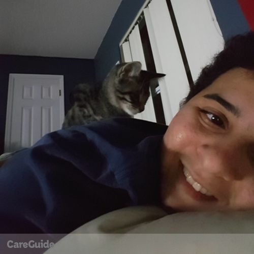 Pet Care Provider Andrew F's Profile Picture