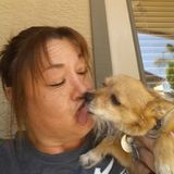 For Hire: Loving Pet Care Provider in Litchfield Park, Arizona