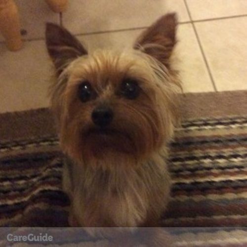 Pet Care Provider Nick C's Profile Picture