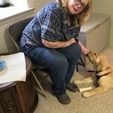 Dog Walking Offered in Martinsburg