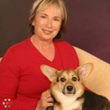 Trusted pet care in Milwaukie, Oak Grove, Jennings Lodge, Gladstone, West Linn & Sellwood
