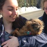For Hire: Caring Pet Sitter and Dog Walker in Prince George