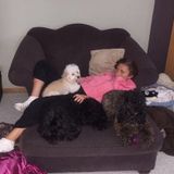 I have 3 dogs & a lot of experience w/ animals. HUGE animal lover! I will treat your pets as if they were my own. Macomb, MI.