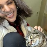 Disciplined Pet Sitter for Your Home