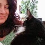 Good Pet Carer Available Immediately