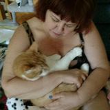 Hi I'm Yvonne Grush, looking for pet sitters jobs at your home, love animals all my life, I've always had cats a couple dogs!