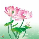 Experienced Chinese ( Mandarin and Cantonese) tutor in NYC. Face to Face or Skype
