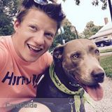 Professional Dog Walker/Pet Sitter Extrordinaire Available!