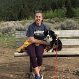 Bozeman Pet Care Provider