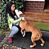 I'd like to meet your dog :)