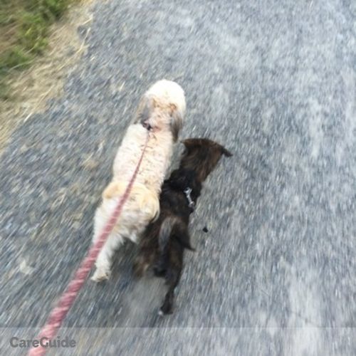 Pet Care Provider Megan S's Profile Picture