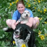 Animal lover ready to care for your animal family!
