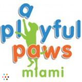 Dog Walker Wanted