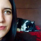 Cat/Dog sitter occasionally