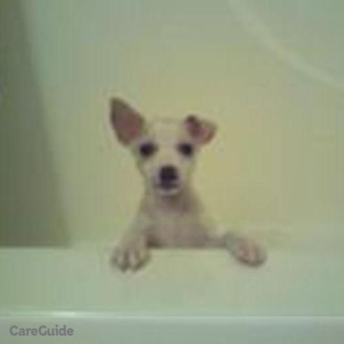 Pet Care Provider Susy B's Profile Picture