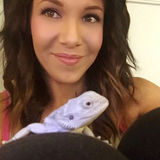 An animal lover that provides care for dogs... cats... or even your scaled friends! None are too small or too large.