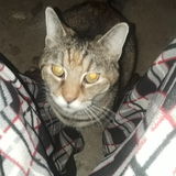 I'm 17 and love taking care of animals big or small