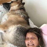 West Haven Petsitter Available For Job Opportunities in Connecticut