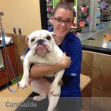 Loving Dog Walker And Sitter!