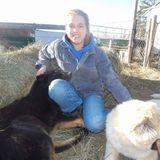 For Hire: Happy and responsible Pet Sitter in Grande Prairie