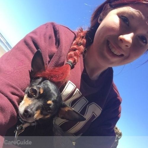 Pet Care Provider Hannah L's Profile Picture