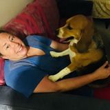 Pet lover and House Sitting Available Now!