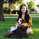 Experienced Pet Sitter in Pleasanton