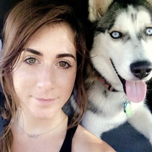 House Sitter Provider Nicoll H's Profile Picture