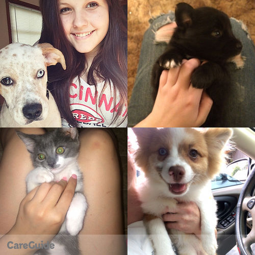 Pet Care Provider Katie Bower's Profile Picture