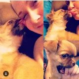 True animal lover looking to care for your furry friends!